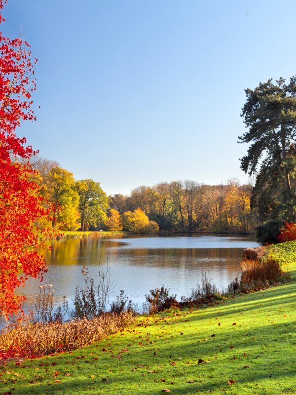 осенняя природа