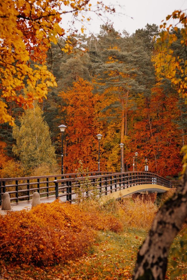 красивой осени