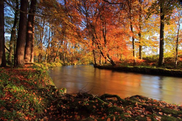 природа осени