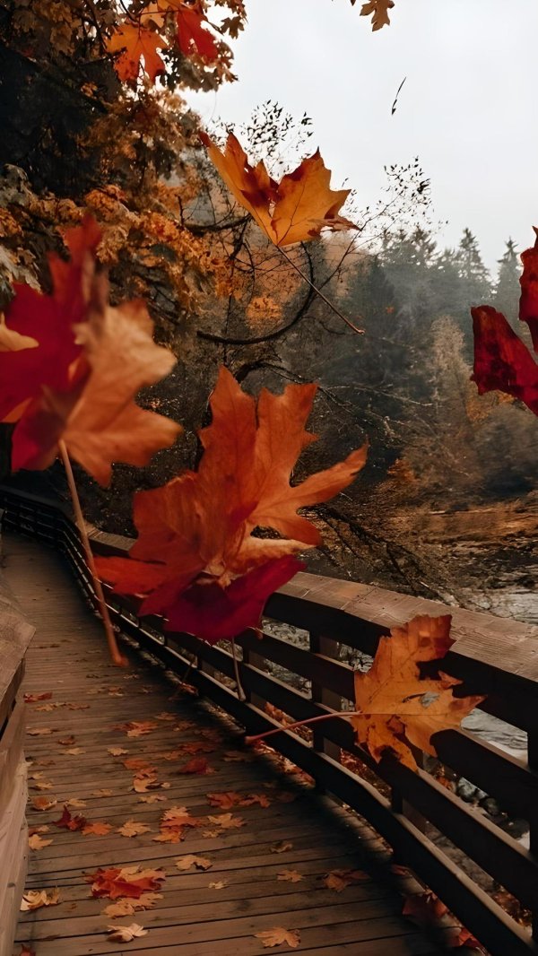 доброго осеннего утра октября