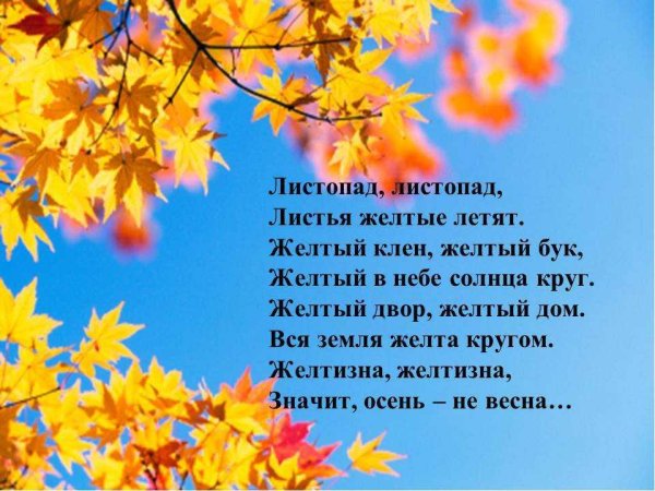 листопад листопад листья желтые