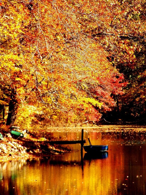 природа осенняя