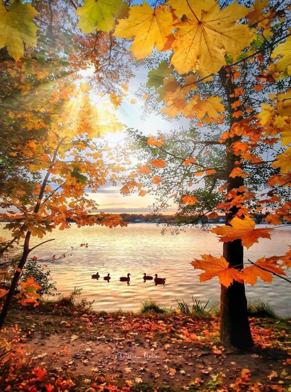 сентябрь природа