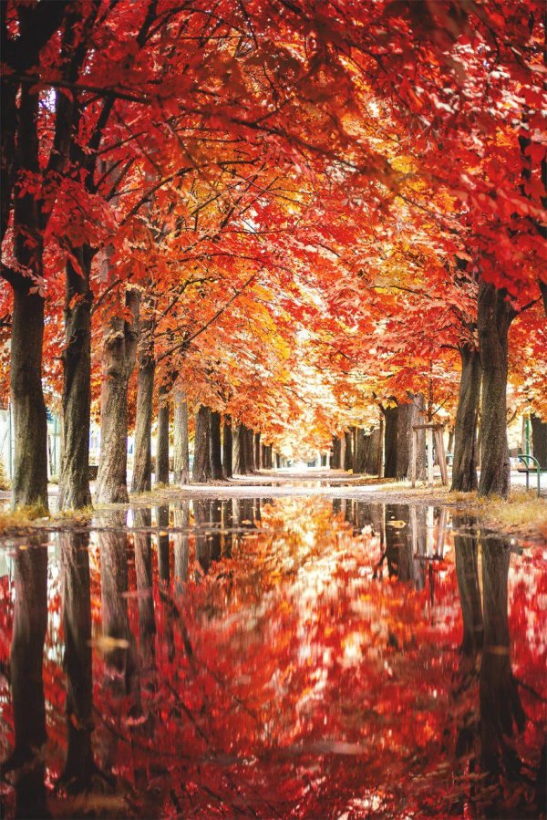 осенние фотографии