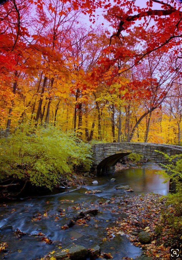 природа осени