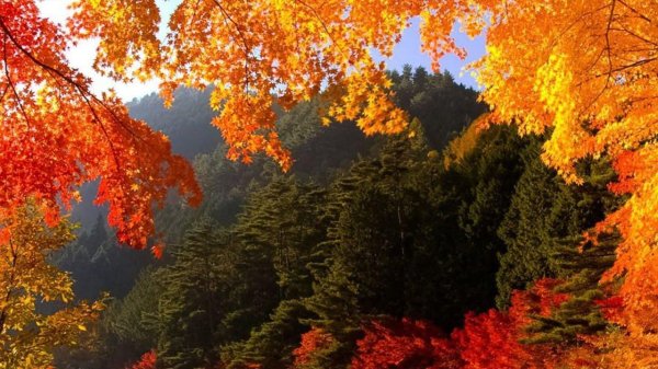 осенние пейзажи