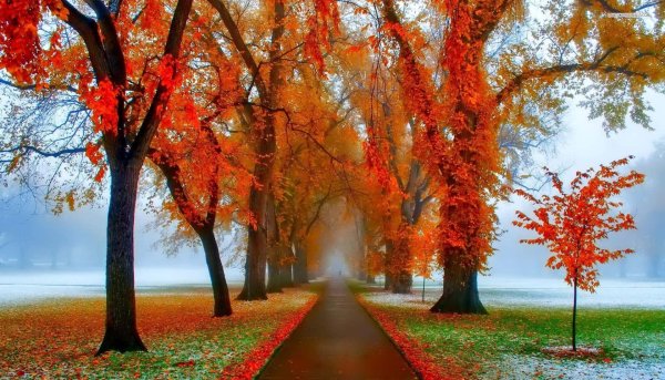 природа осени