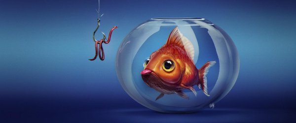 рыбки аквариум