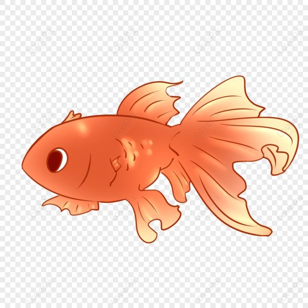 золотая рыбка