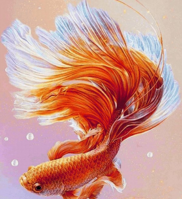 исполнение желаний