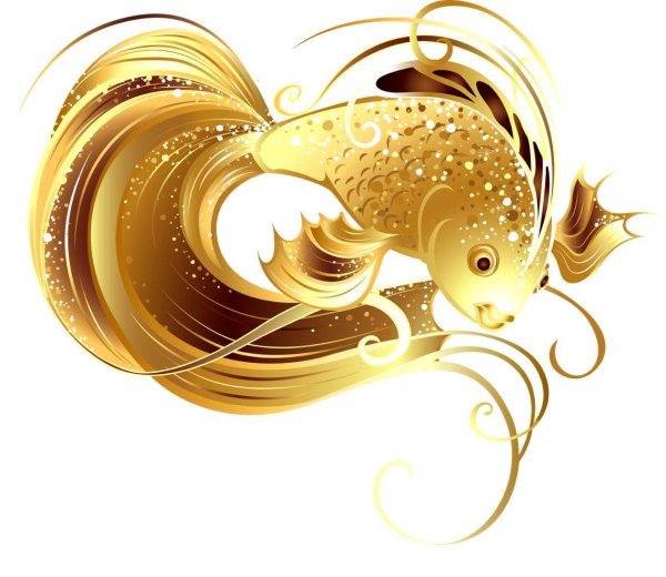 рыбка золотая