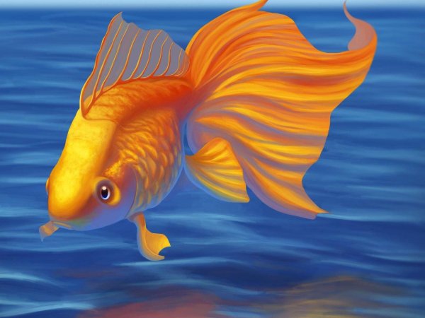 золотая рыбка