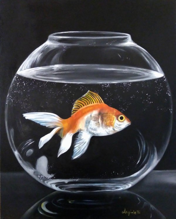 рыбка в аквариум