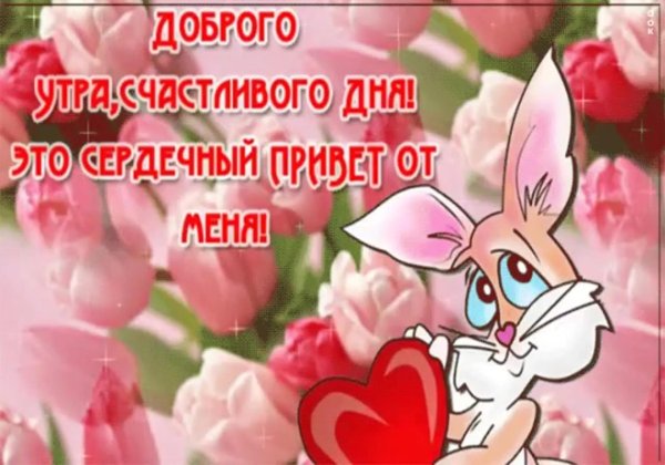 привет от меня и хорошего дня