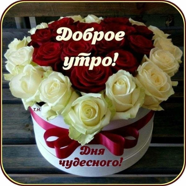 букет доброе утро