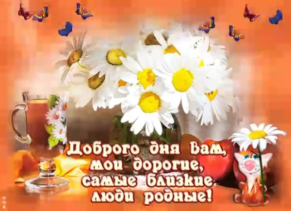 доброго дня родные