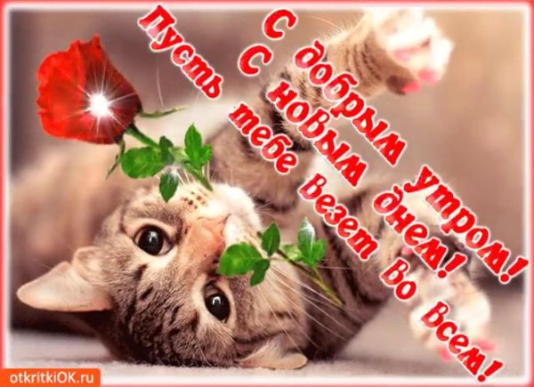 доброго утра подруга