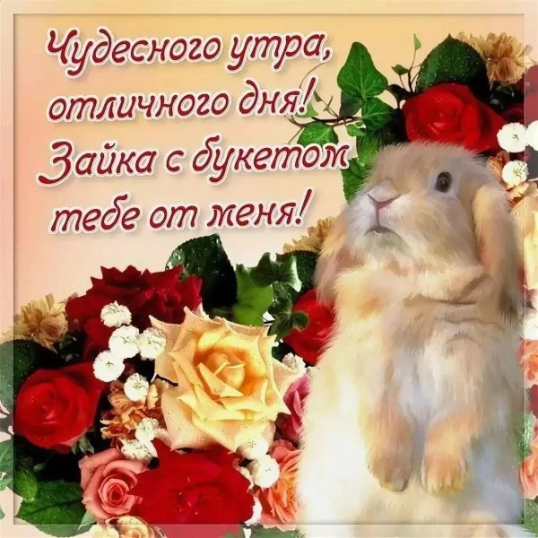 добрые пожелания