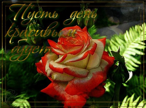 красивые мерцающие открытки