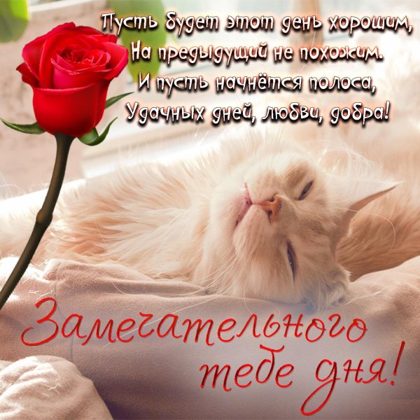 поздравление с хорошим днем