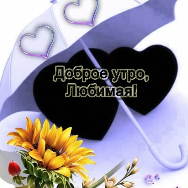 доброго утра любимая