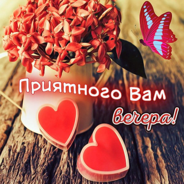 приятно вечера