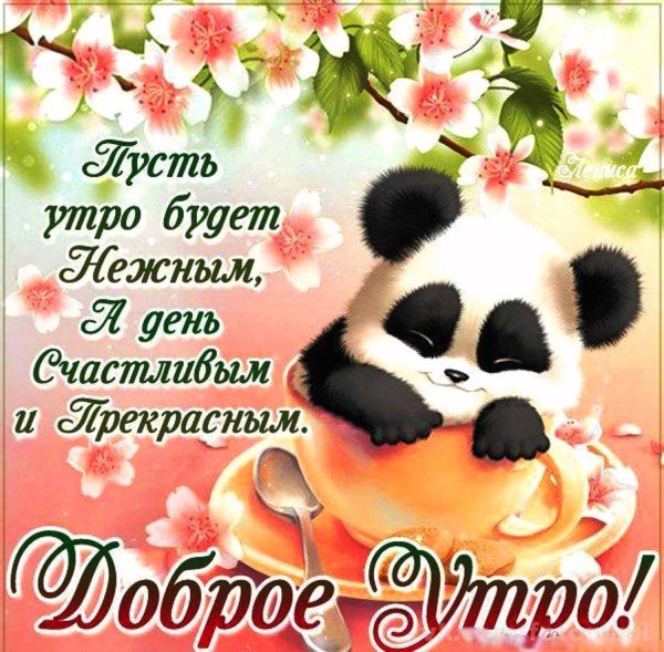 доброе утро с пандой