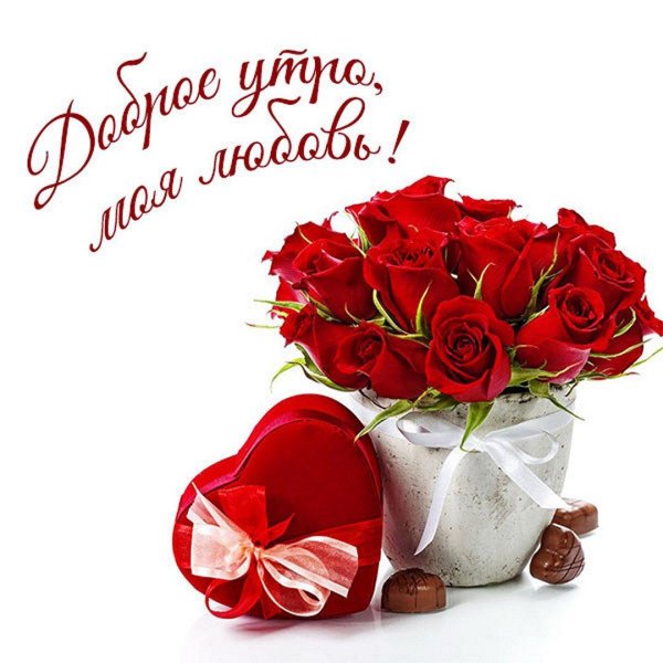 розы в подарок