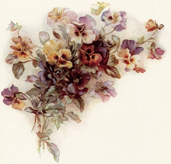 decoupageанютины глазки