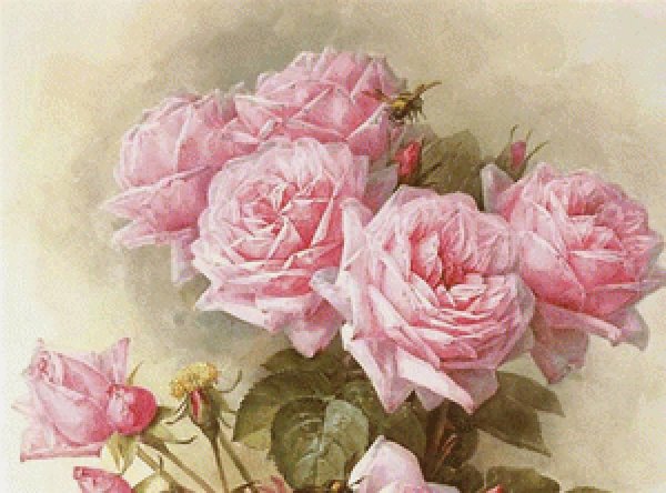 викторианские розы