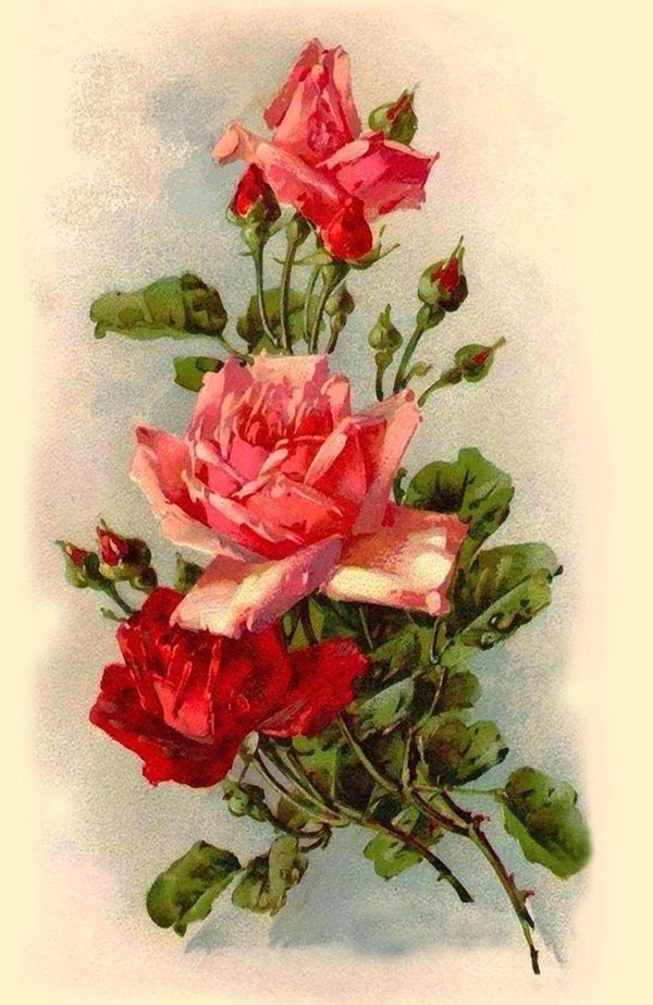 художница катарина кляйн