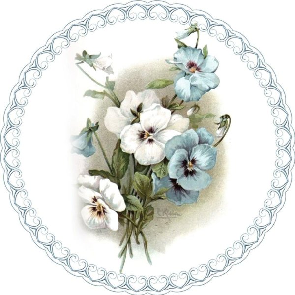 decoupageанютины глазки