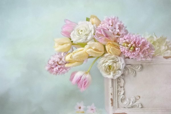 нежные натюрморты лиззи пе