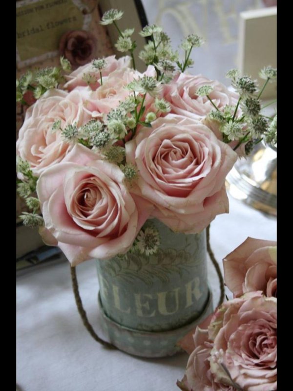 пепельная роза