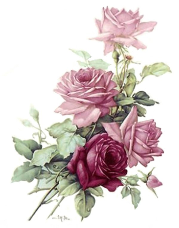 винтажная роза