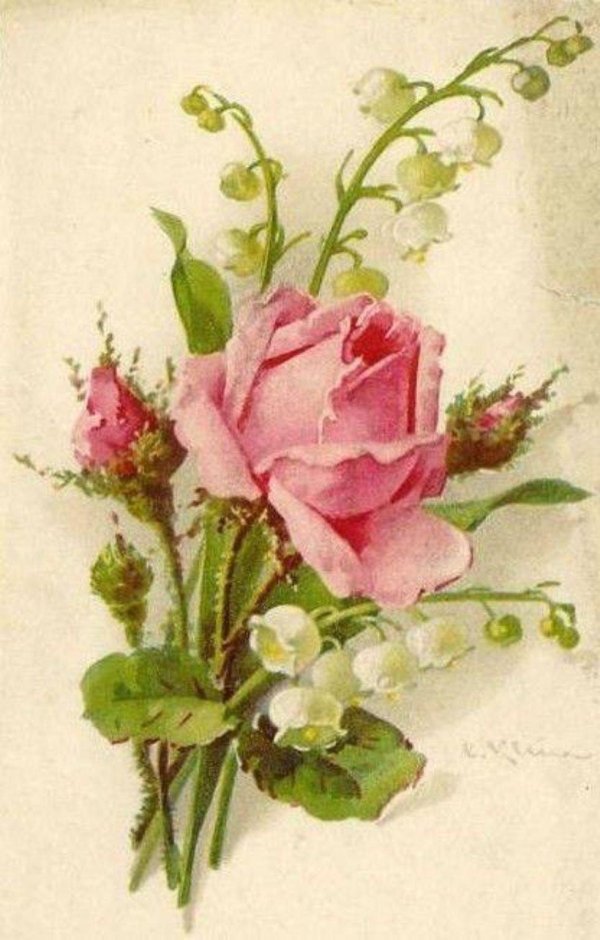 катарина кляйн ландыши