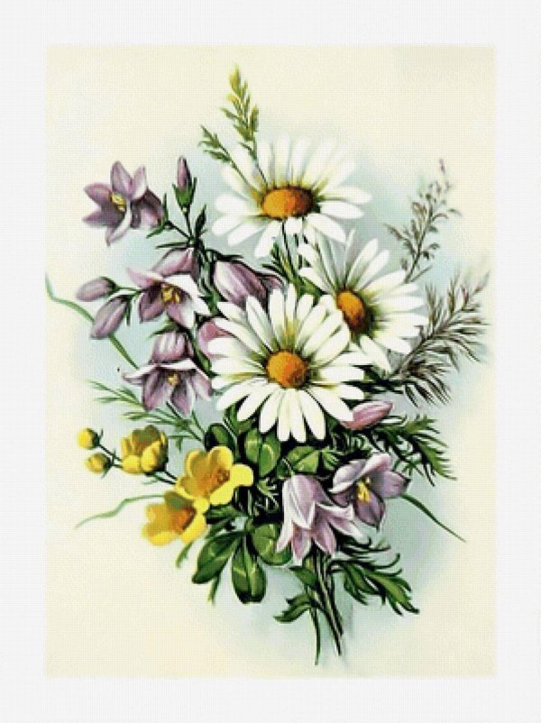 открытка с полевыми цветами