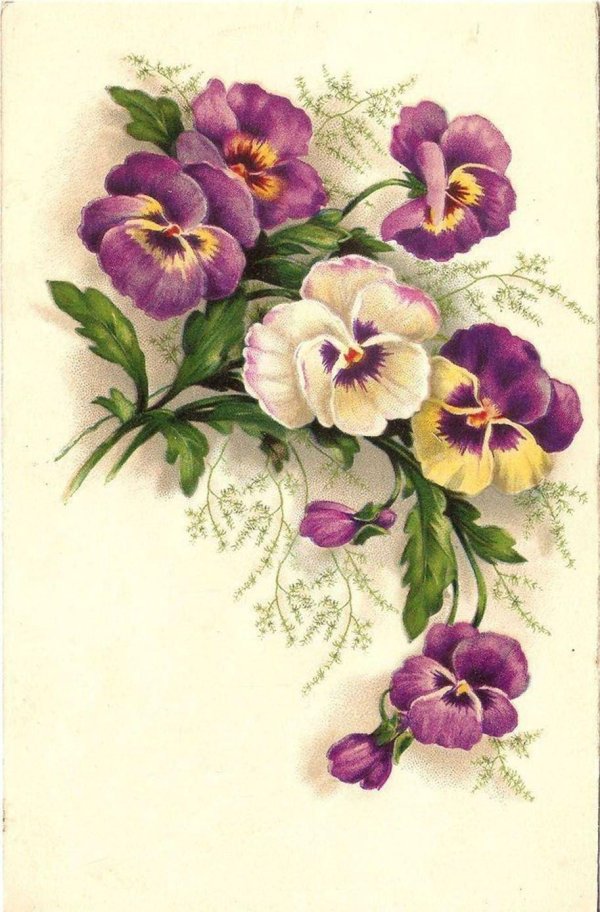 decoupageанютины глазки