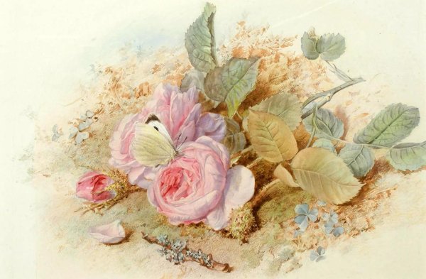 художница mary elizabeth duffield