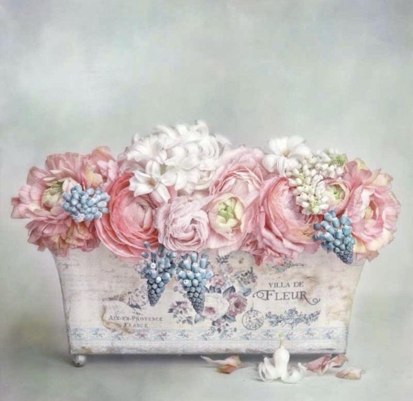 художник lizzy pe