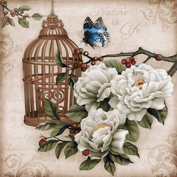 лукас птичья клетка отшив