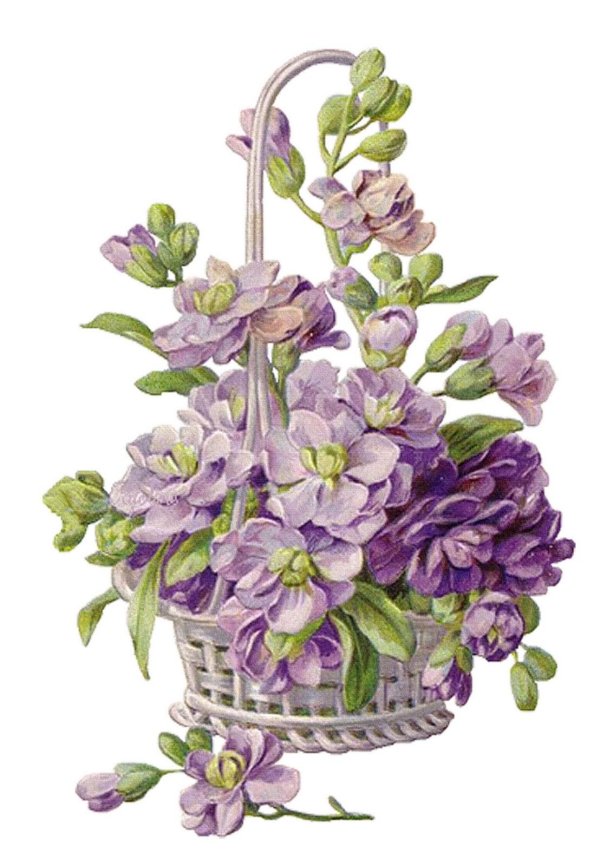 цветочные картины