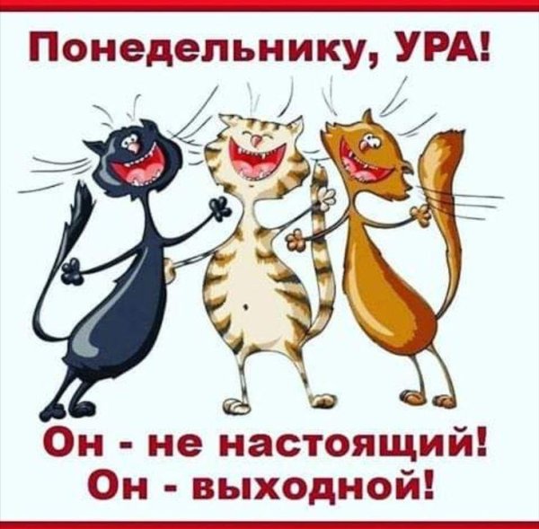 поющие коты