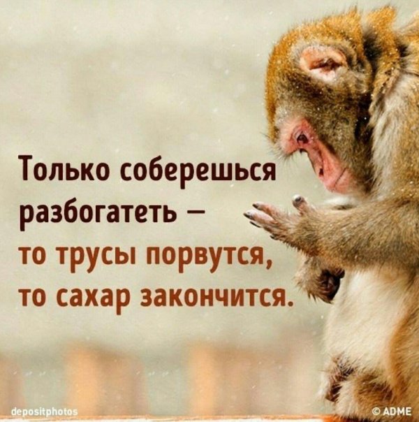 только соберешься разбогатеть то трусы порвутся то