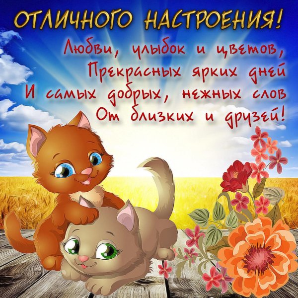 открытка позитивная