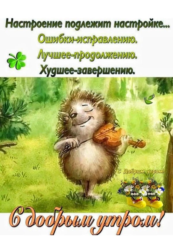 с добрым утром ежик