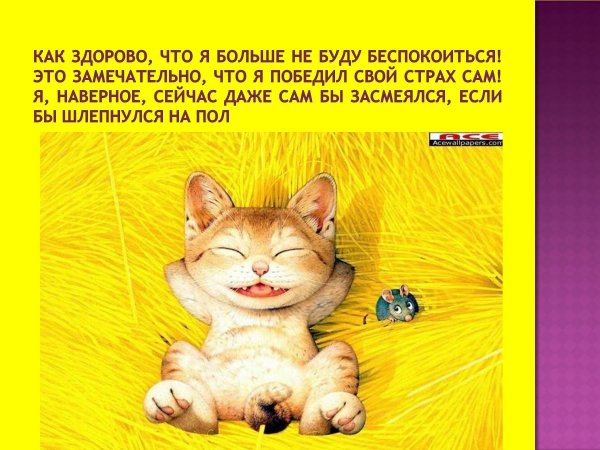 коты макото мурамацу