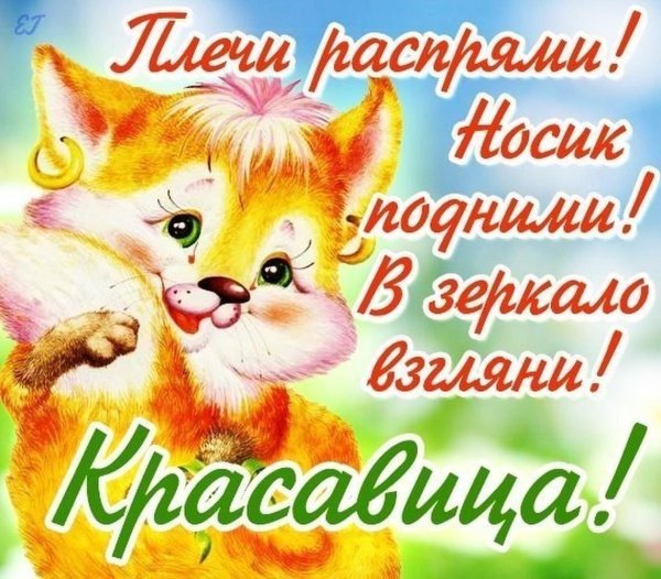 красавица открытка