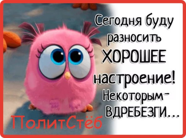 птичка из мультика