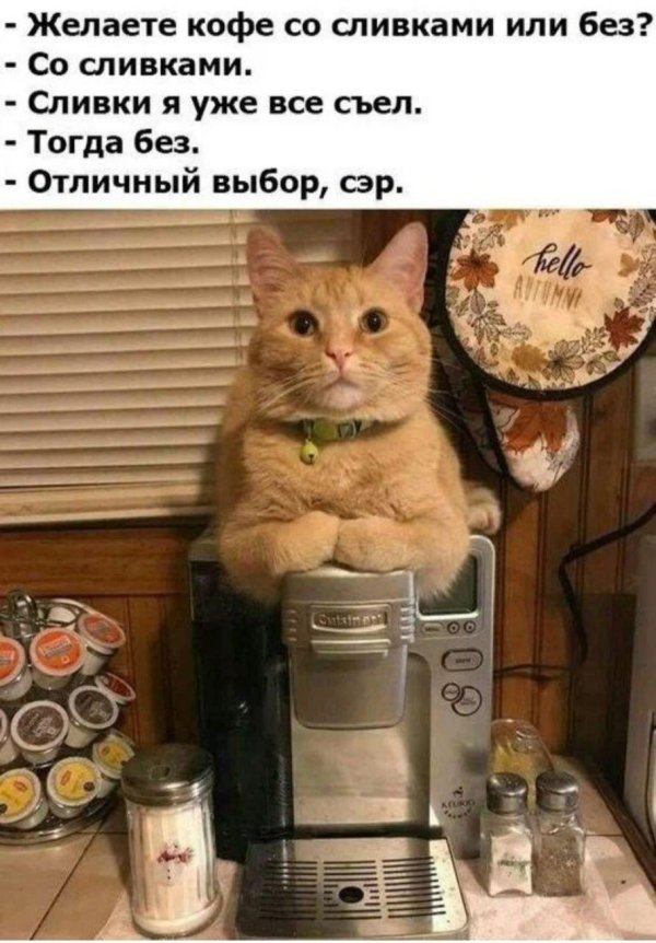 кофе смешные